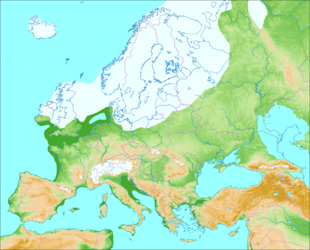 Ausdehnung der Weichsel-Eiszeit, Quelle, Wikimedia, lizenzfrei