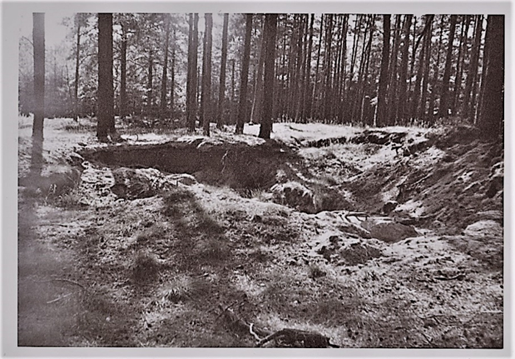 © Foto Jürgen Stelter, es zeigt den Fundort von vor ca. 40 Jahren. Es wurde mir von Jürgen Stelter überlassen.