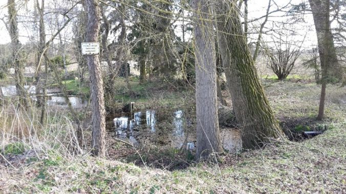 ©Fotos J. Wenk, heute wird die Wiesbeck als Fischteiche genutzt, sie ist teilweise verwildert.