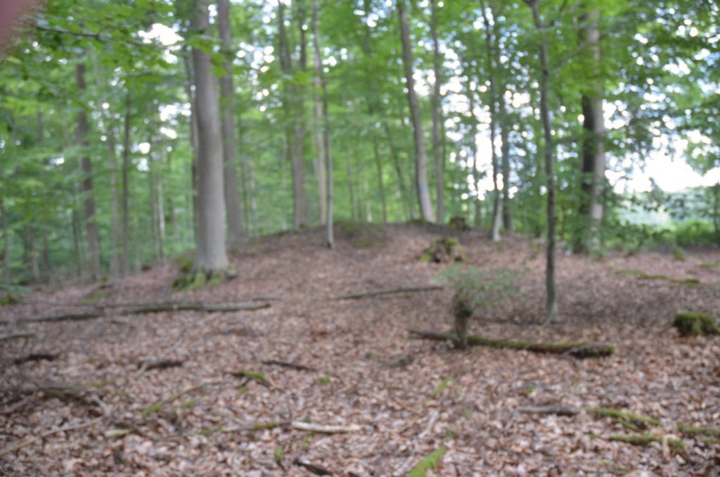 Hügelgräber Nr. 2a