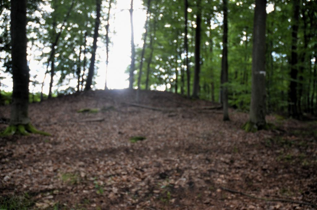 Hügelgräber Nr. 2a andere Sichtachse