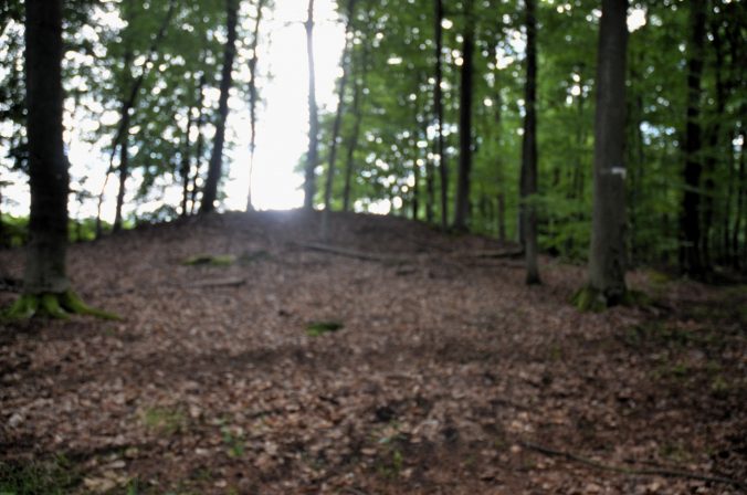 Hügelgräber Nr. 2a andere Sichtachse