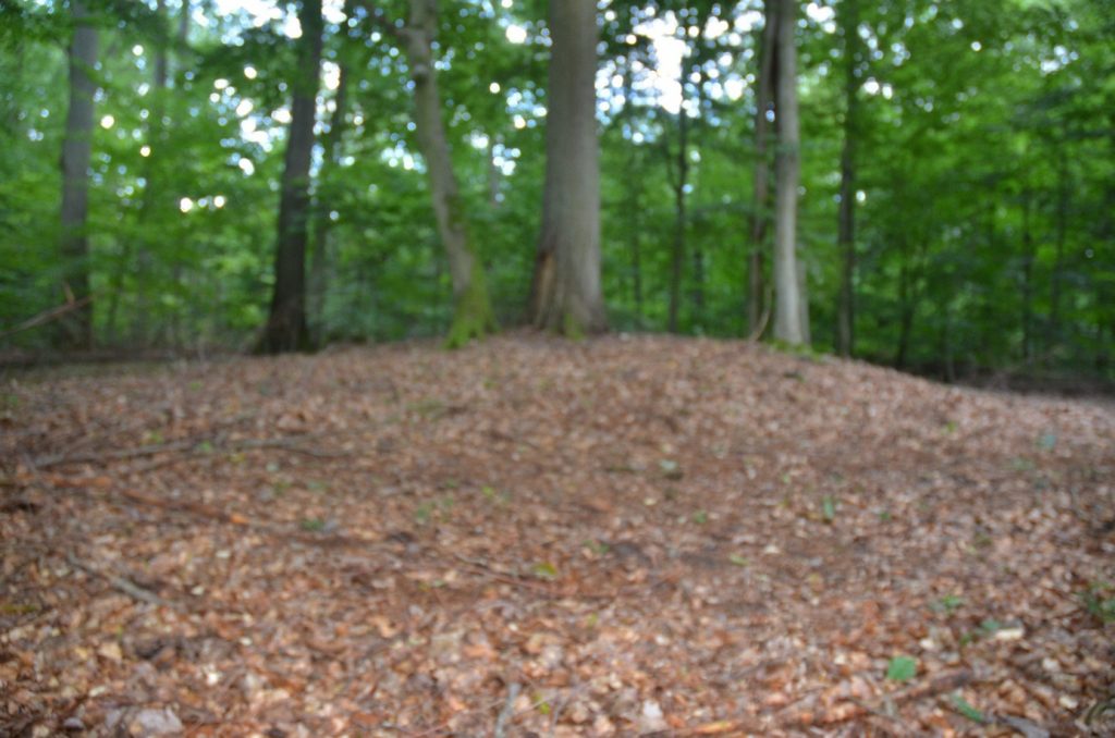 Hügelgrab 2c, andere Sichtachse