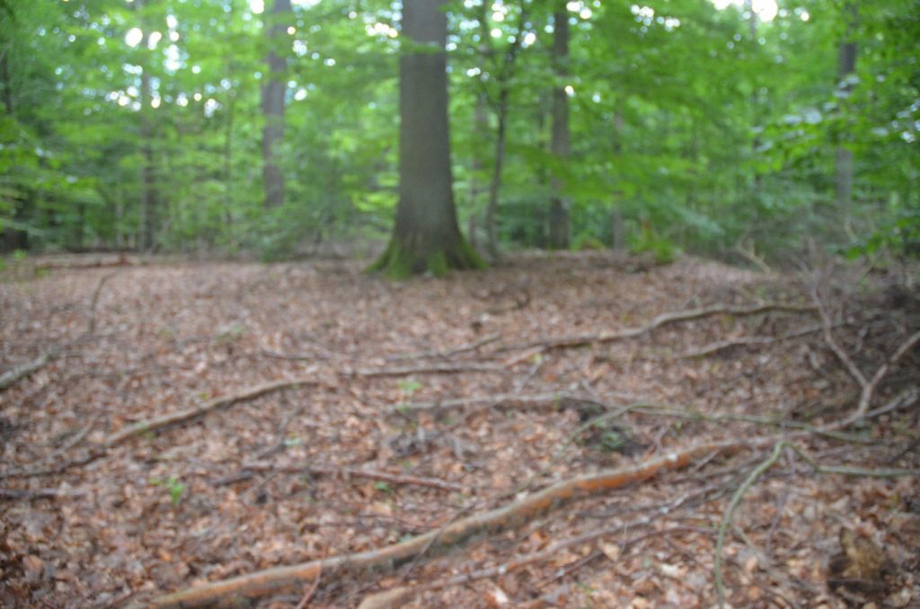 Hügelgrab 2d, sehr flach ausgeformt, kaum erkennbar, andere Sichtachse