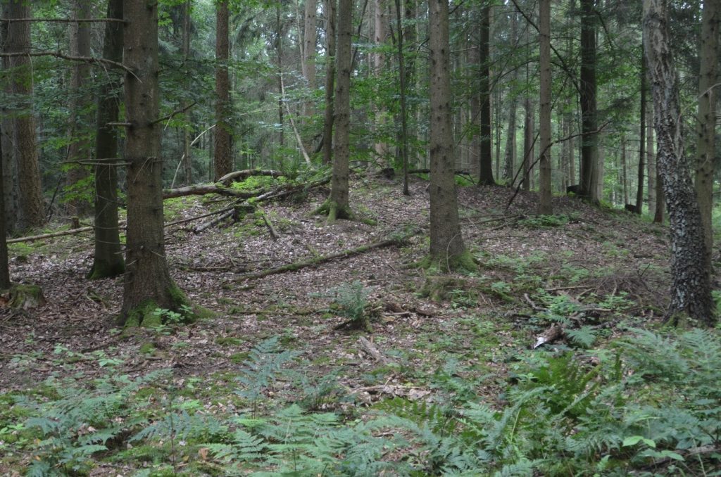 Hügelgrab Nr. 6, Einzelgrab.