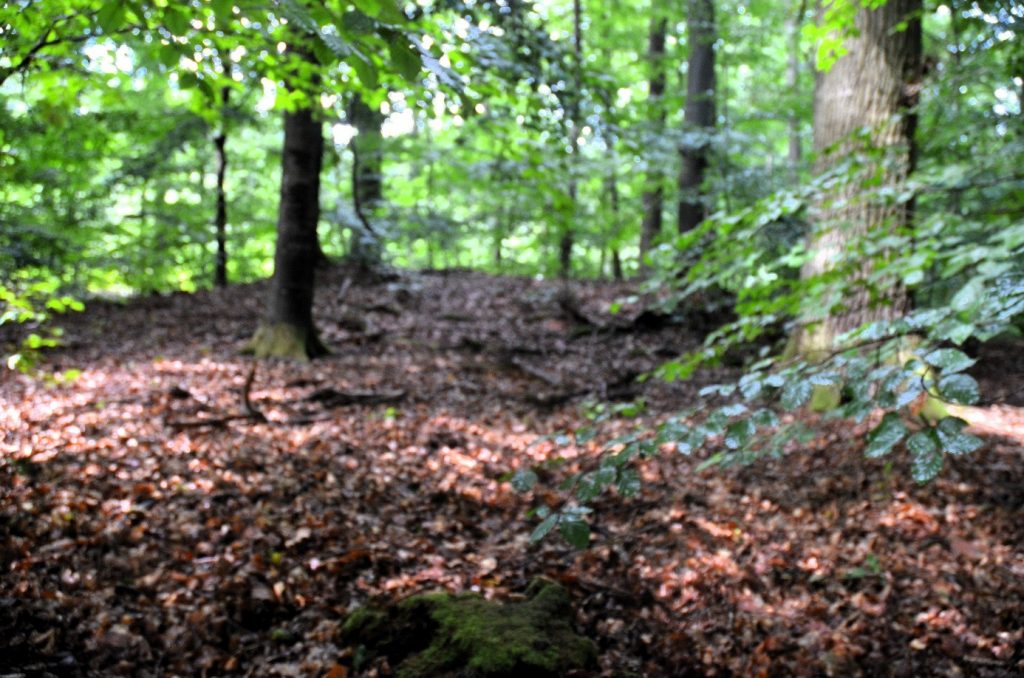 Hügelgrab Nr. 7, Einzelgrab, am ehem. Forsthaus, in der Nähe des Teiches.