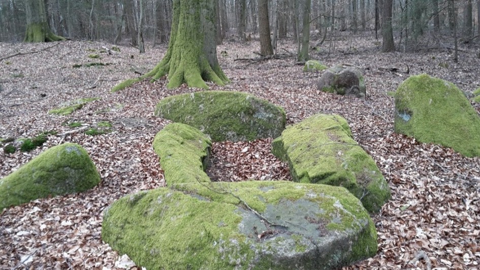 Kastengrab Quelle, The Megalithic Portal, Eingereicht von Holger Rix