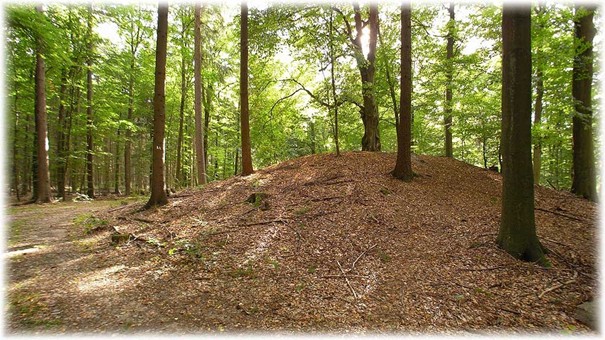 Hügelgrab Nr. 4. Opferberg