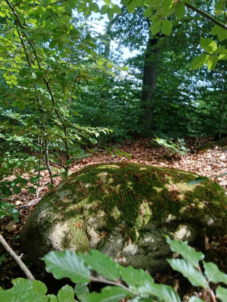 Hügelgrab Nr.1 Vieler Berg