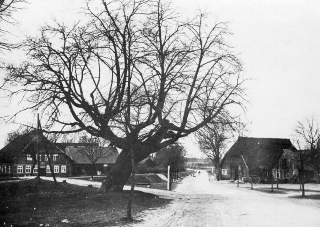 Die alte Gerichtslinde