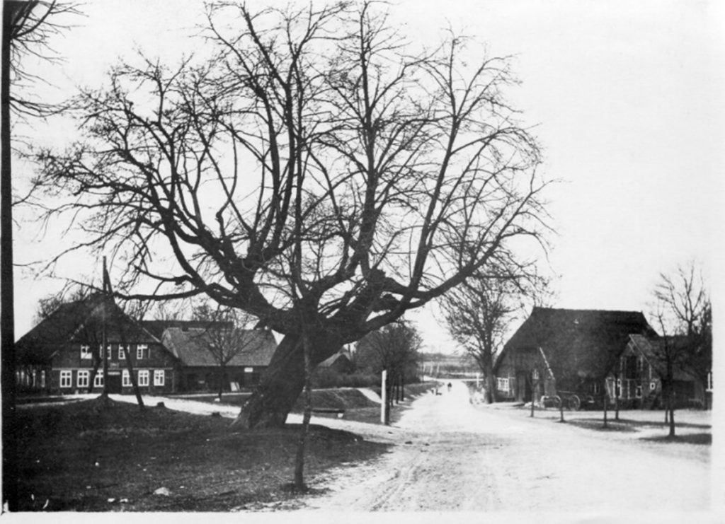 Auf dem Marktplatz unter einer Linde gab es einst einen Thing-Platz dem Versammlungsplatz des Hölthing bzw. des Gothing, auf dem unter freiem Himmel Recht durch den Vogt gesprochen wurde, das war an der alten „Thie-Linde”, (Thing – Linde) die noch bis 1968 gestanden hat. Im Hintergrund die Trasse der Bleckeder Kreisbahn.