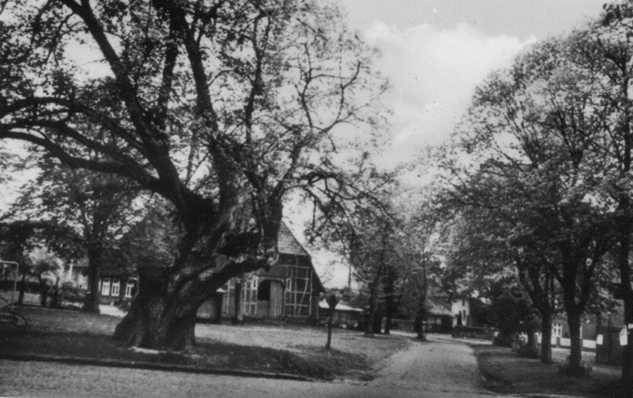 Am Buursood 1, historisches Foto, landwirtschaftliches Gebäude, Wenk (Bartelwenk)