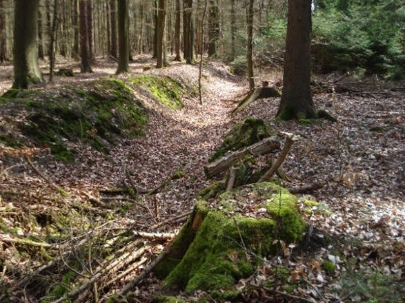 ©Jochen Wenk, noch heute sind die Gräben der Teilung im Schieringer Forst erkennbar
