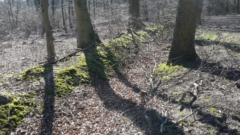 ©Jochen Wenk, noch heute sind die Gräben der Teilung im Schieringer Forst erkennbar