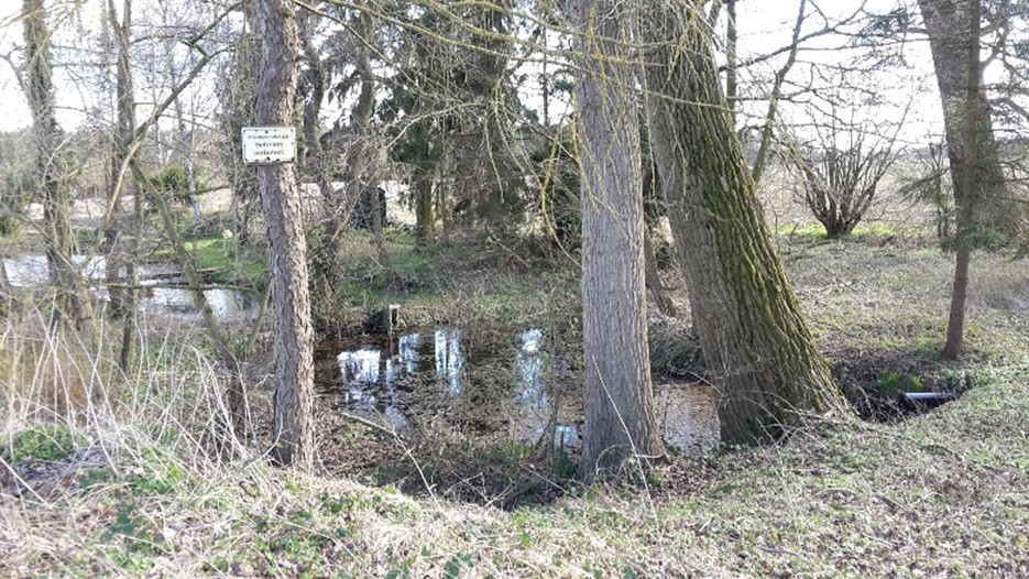 ©Fotos J. Wenk, heute wird die Wiesbeck als Fischteiche genutzt, sie ist teilweise verwildert.