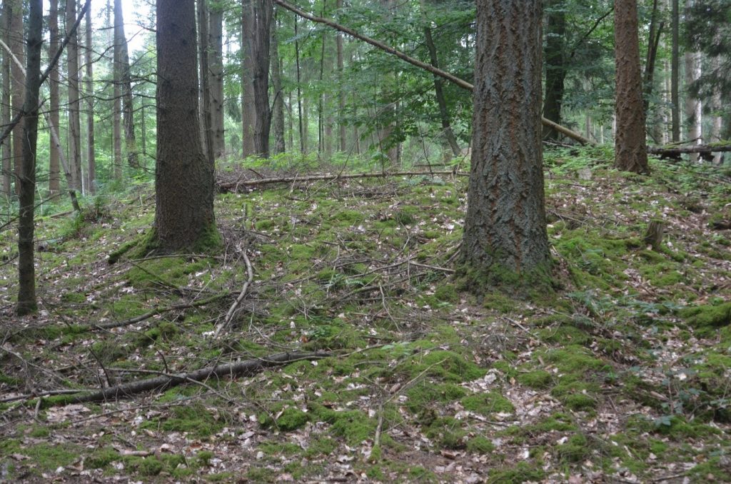 Hügelgrab Nr. 6, Einzelgrab, andere Sichtachse
