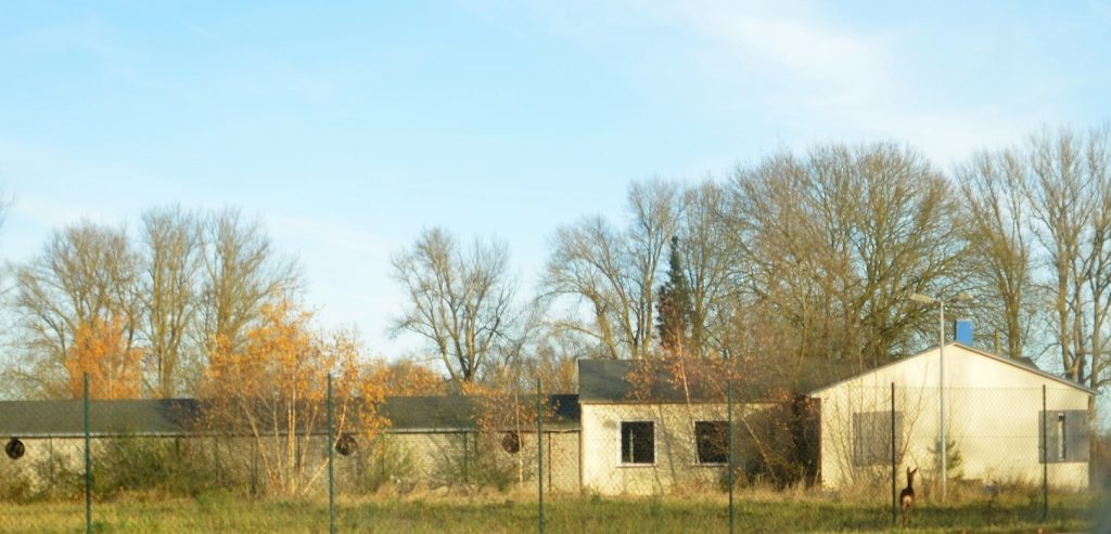 Die Reste des Porenbetonwerks, nach der Stilllegung Quelle, Sammlung Wolf Momm